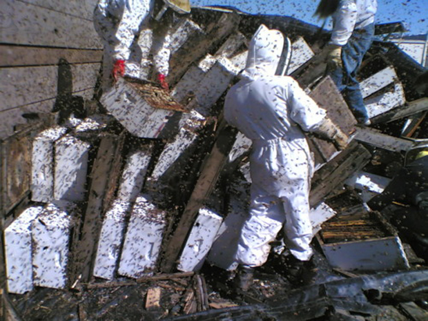 tumblr_ltl9u7RdyY1qdm60vo1_500