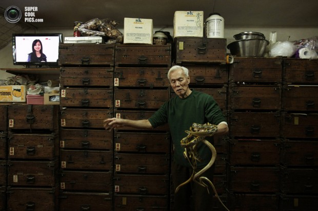 Snake shop owner Mak Tai-kong, 84, holds snakes which were caught in mainland China, in front of wooden cabinets containing snakes, at his snake soup store in Hong Kong