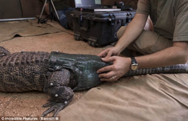 article-2291158-188C98AA000005DC-592_634x409